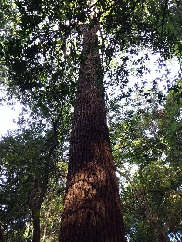 #旅行记录#景德镇，2015年10月（5）