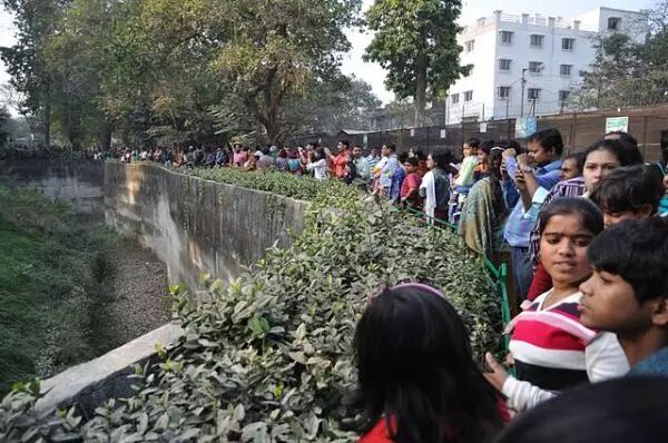 是什么让穷父亲舍命逃票入虎山