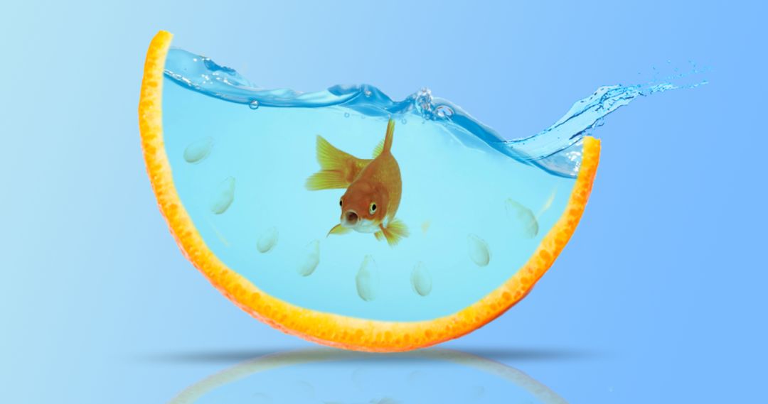 那些曾经轰动一时的新闻事件，都有哪些后续发展？