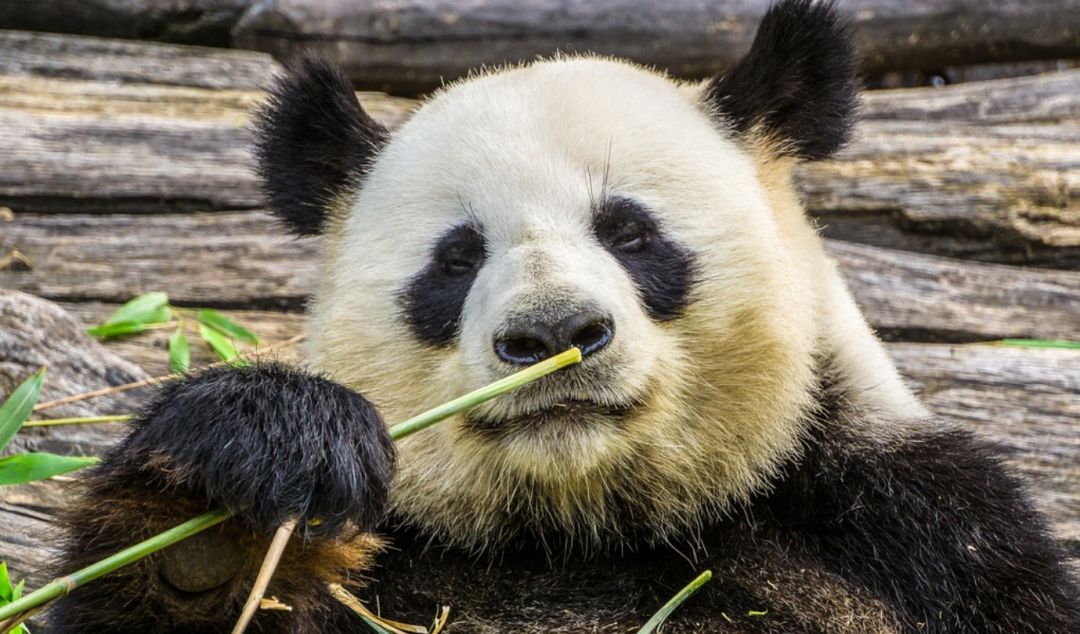 为风口浪尖的联想说几句话